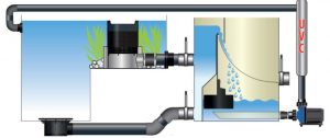AquaForte Prime Bioskimmer proces